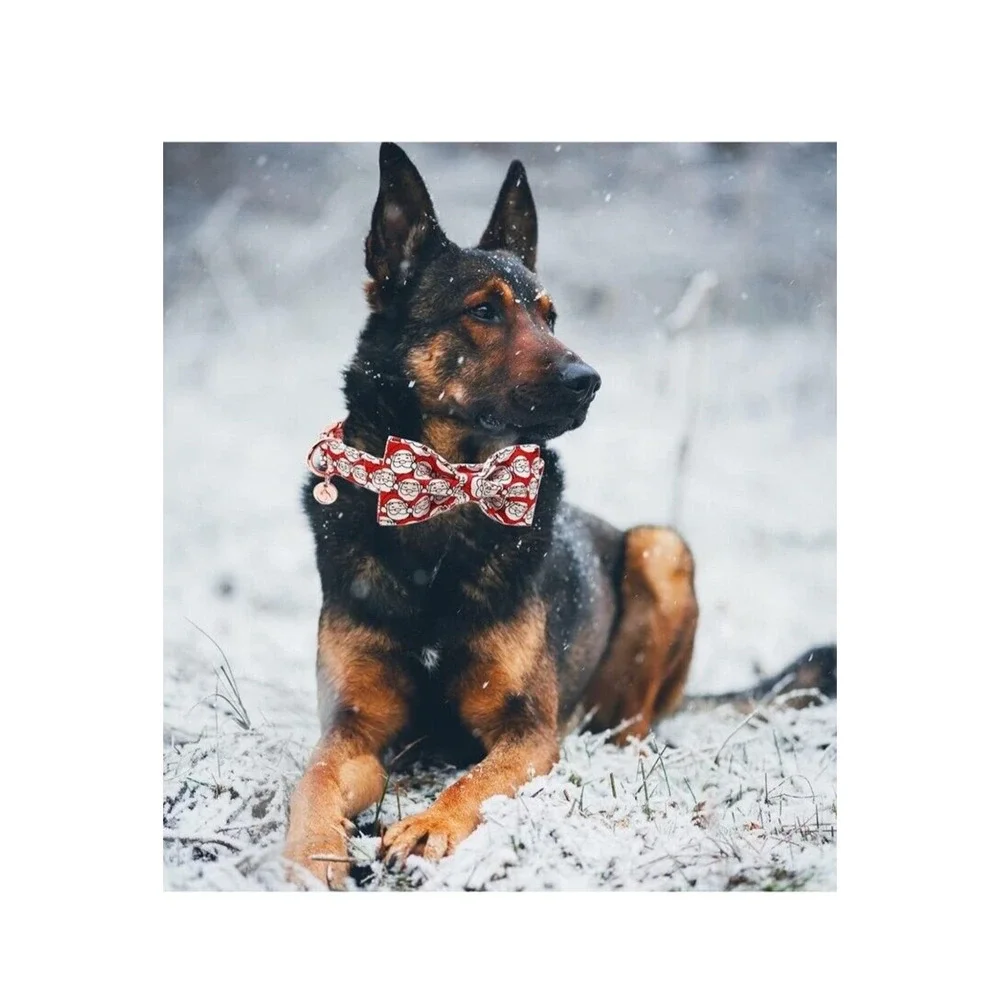 DOGWONG Red Christmas Dog Collar with Bowtie, Santa Claus Christmas Dog Collar